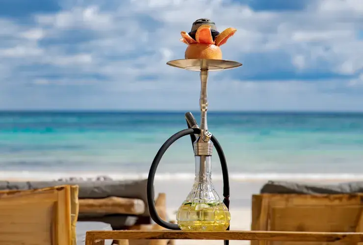 Exotic shisha experience in Tulum
