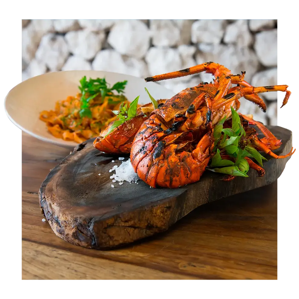 Mediterranean lobster