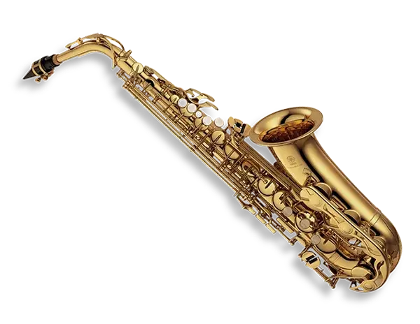 Saxophone at Taboo Beach Club