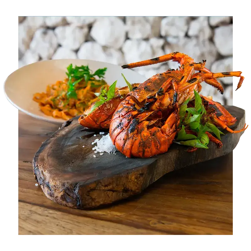Selection of the best seafood and fish at Taboo Cabo